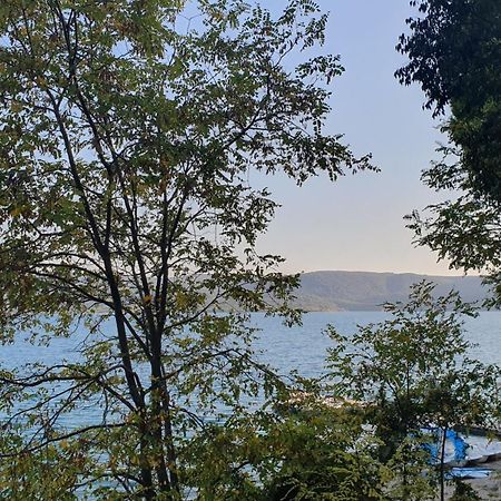Le Comptoir Hotel Sainte-Croix-du-Verdon Eksteriør billede